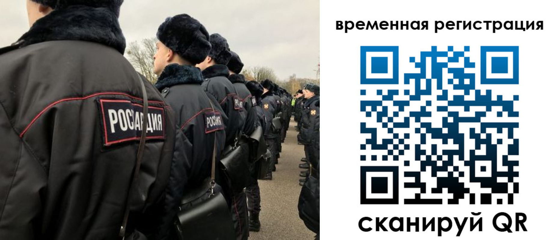 прописка гарантия в Чистополье